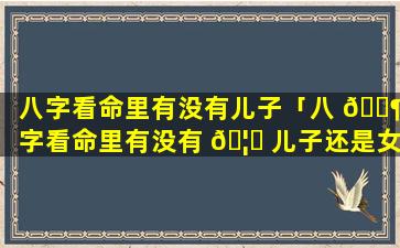 八字看命里有没有儿子「八 🐶 字看命里有没有 🦍 儿子还是女儿」